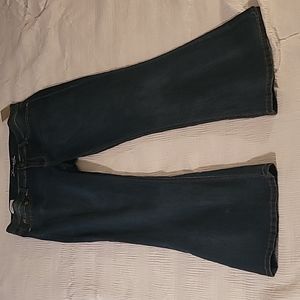Torrid Isabelle Slim Boot Cut Original Style Size 18